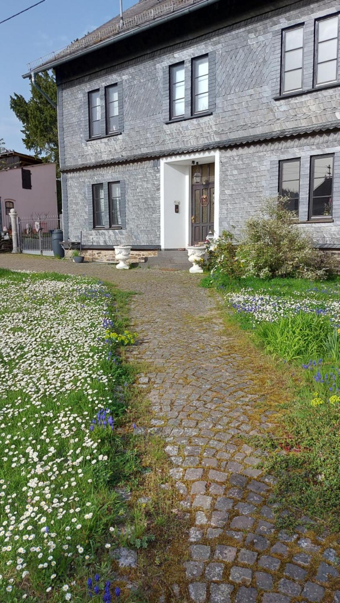 Zum Alten Pfarrhaus Damscheid ภายนอก รูปภาพ