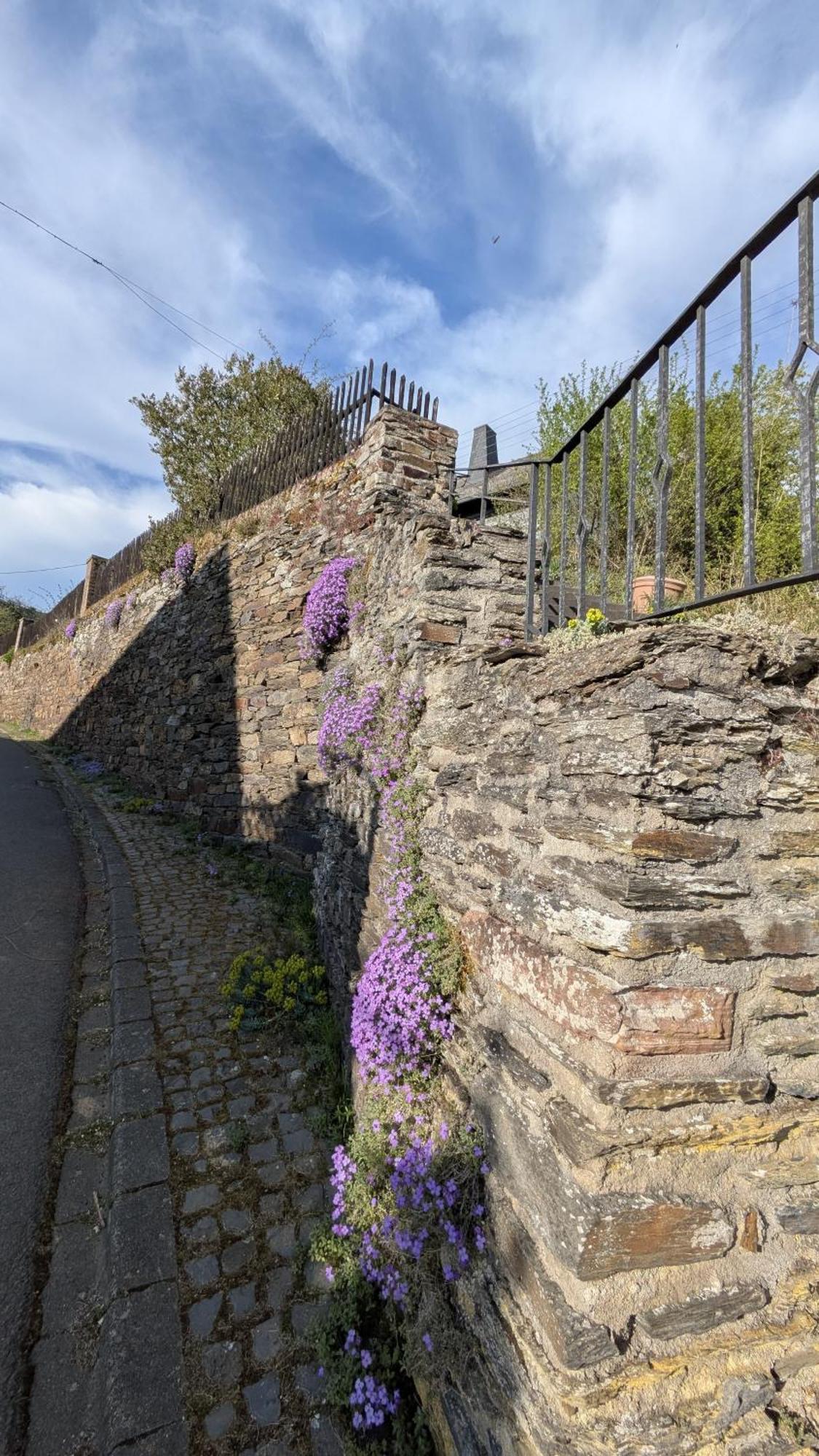 Zum Alten Pfarrhaus Damscheid ภายนอก รูปภาพ